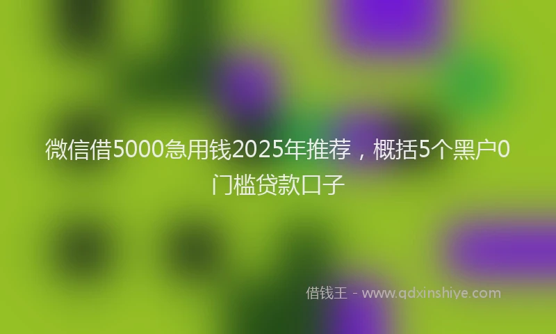 微信借5000急用钱2025年推荐，概括5个黑户0门槛贷款口子