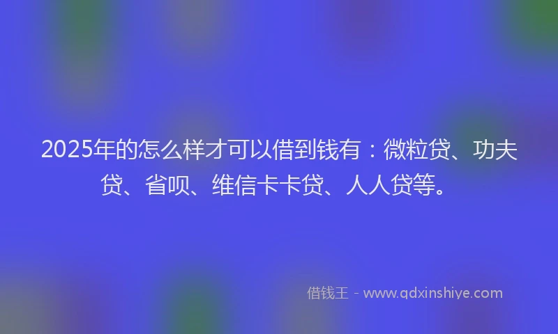 2025年的怎么样才可以借到钱有：微粒贷、功夫贷、省呗、维信卡卡贷、人人贷等。