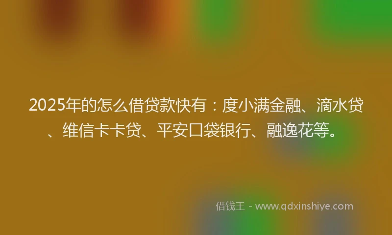 2025年的怎么借贷款快有：度小满金融、滴水贷、维信卡卡贷、平安口袋银行、融逸花等。