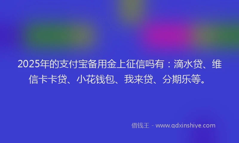 2025年的支付宝备用金上征信吗有：滴水贷、维信卡卡贷、小花钱包、我来贷、分期乐等。