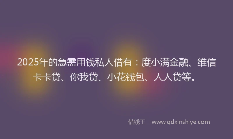 2025年的急需用钱私人借有：度小满金融、维信卡卡贷、你我贷、小花钱包、人人贷等。