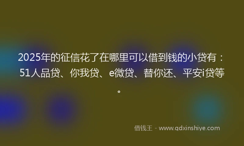 2025年的征信花了在哪里可以借到钱的小贷有：51人品贷、你我贷、e微贷、替你还、平安i贷等。