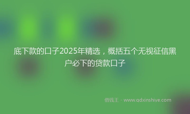 底下款的口子2025年精选，概括五个无视征信黑户必下的贷款口子