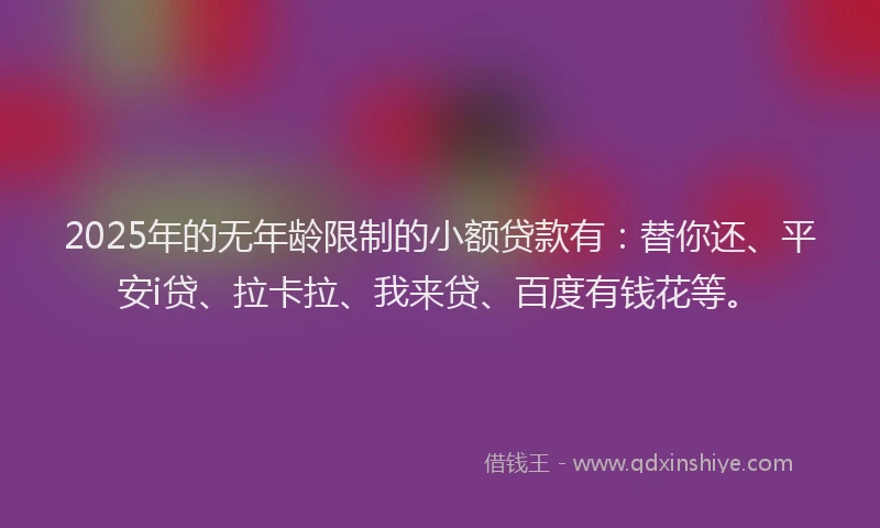 2025年的无年龄限制的小额贷款有：替你还、平安i贷、拉卡拉、我来贷、百度有钱花等。