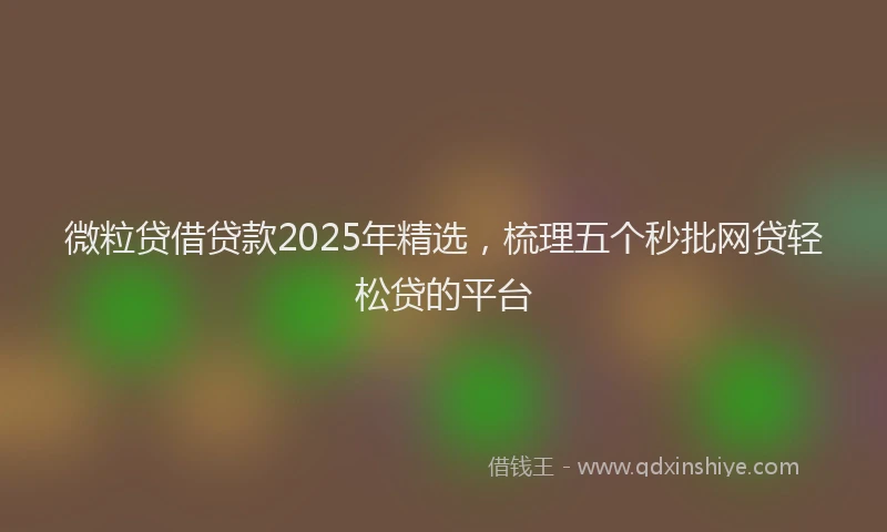 微粒贷借贷款2025年精选，梳理五个秒批网贷轻松贷的平台