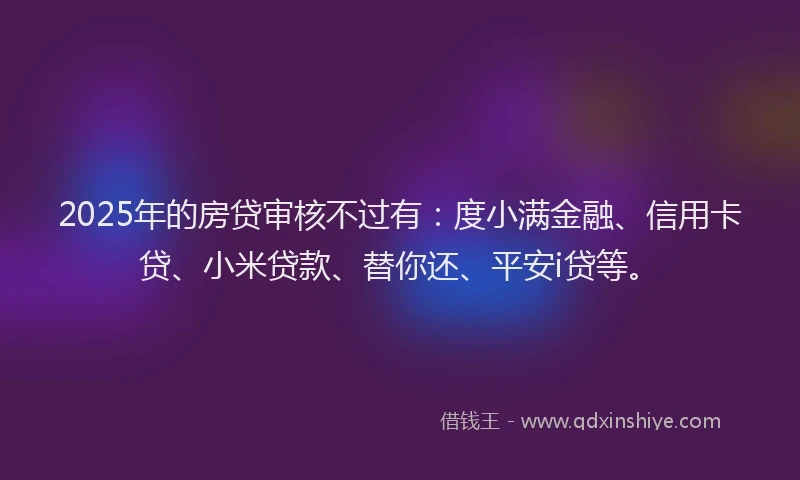 2025年的房贷审核不过有：度小满金融、信用卡贷、小米贷款、替你还、平安i贷等。