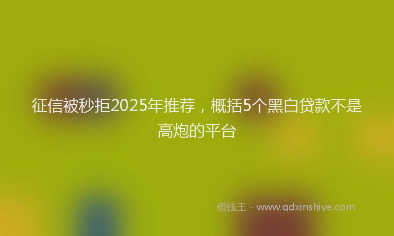 征信被秒拒2025年推荐，概括5个黑白贷款不是高炮的平台