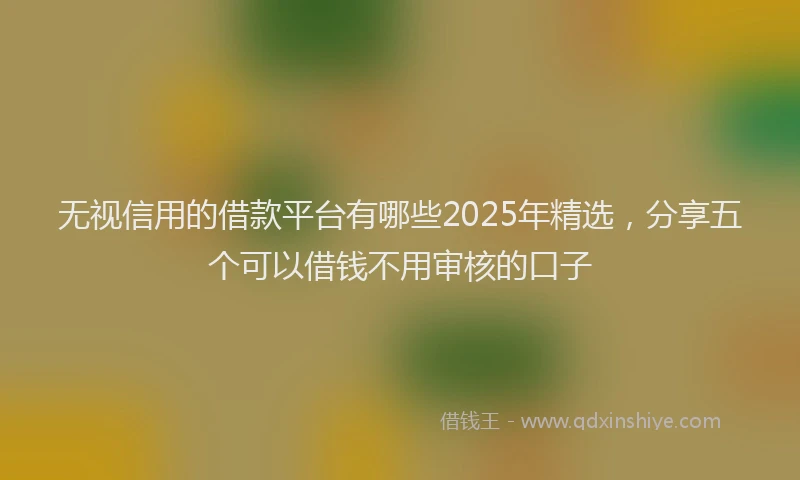 无视信用的借款平台有哪些2025年精选，分享五个可以借钱不用审核的口子