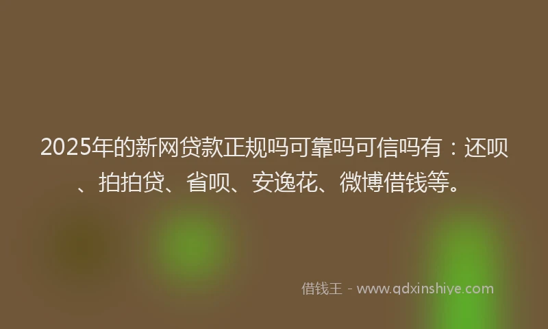 2025年的新网贷款正规吗可靠吗可信吗有：还呗、拍拍贷、省呗、安逸花、微博借钱等。