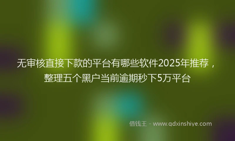 无审核直接下款的平台有哪些软件2025年推荐，整理五个黑户当前逾期秒下5万平台