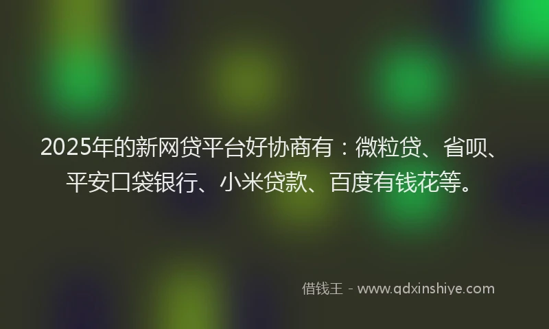 2025年的新网贷平台好协商有：微粒贷、省呗、平安口袋银行、小米贷款、百度有钱花等。