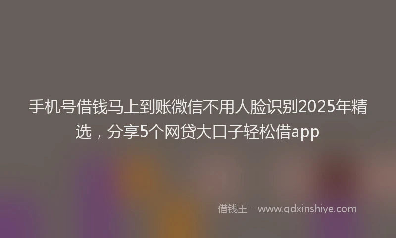 手机号借钱马上到账微信不用人脸识别2025年精选，分享5个网贷大口子轻松借app