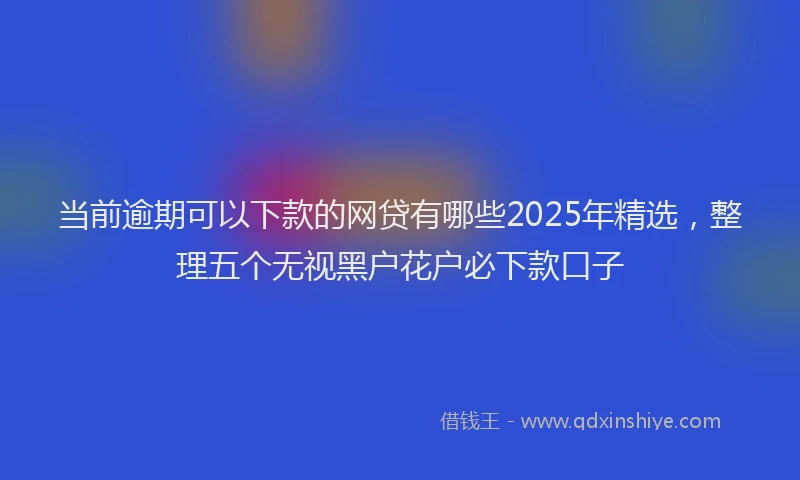 当前逾期可以下款的网贷有哪些2025年精选，整理五个无视黑户花户必下款口子