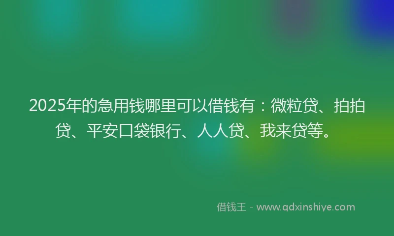 2025年的急用钱哪里可以借钱有：微粒贷、拍拍贷、平安口袋银行、人人贷、我来贷等。