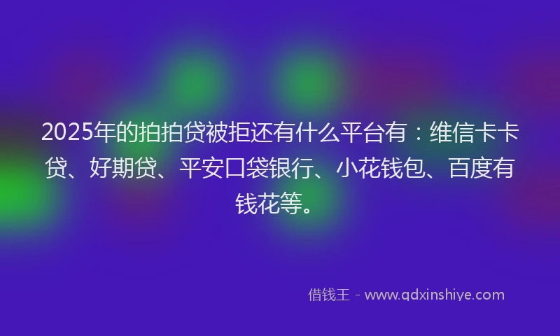 2025年的拍拍贷被拒还有什么平台有：维信卡卡贷、好期贷、平安口袋银行、小花钱包、百度有钱花等。