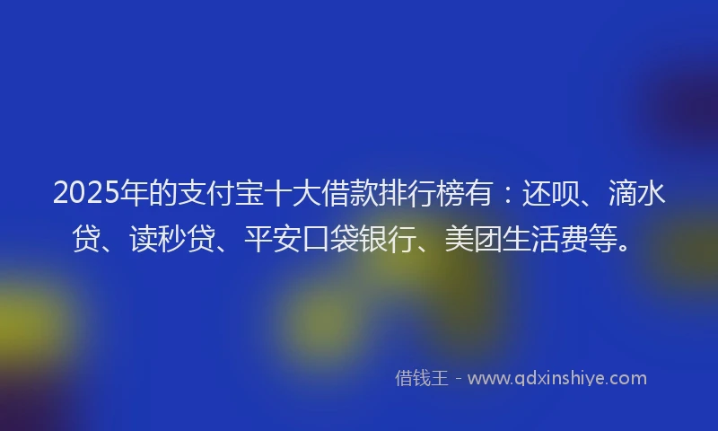 2025年的支付宝十大借款排行榜有：还呗、滴水贷、读秒贷、平安口袋银行、美团生活费等。