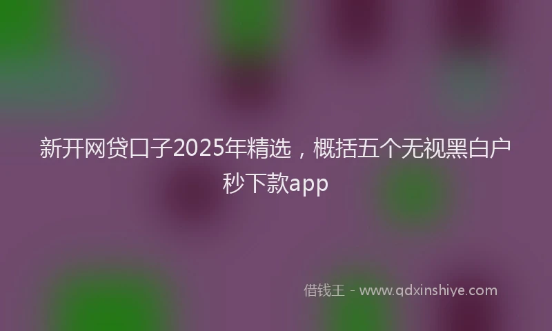 新开网贷口子2025年精选，概括五个无视黑白户秒下款app