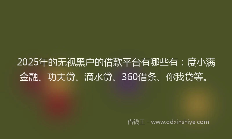 2025年的无视黑户的借款平台有哪些有：度小满金融、功夫贷、滴水贷、360借条、你我贷等。