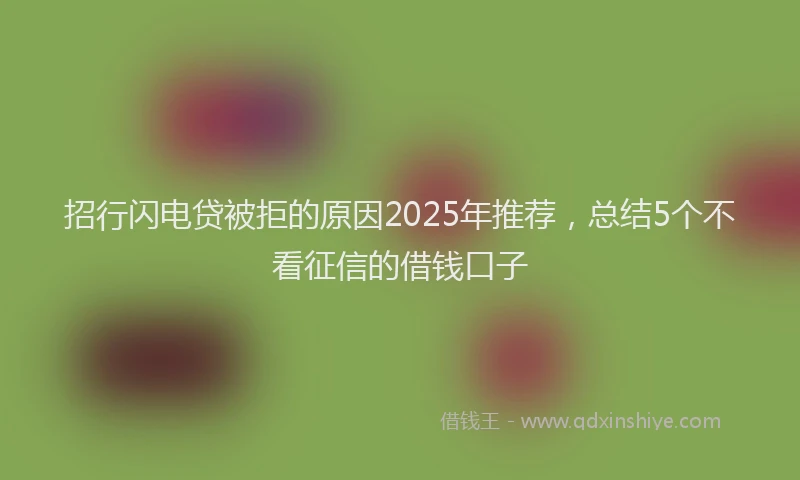 招行闪电贷被拒的原因2025年推荐，总结5个不看征信的借钱口子