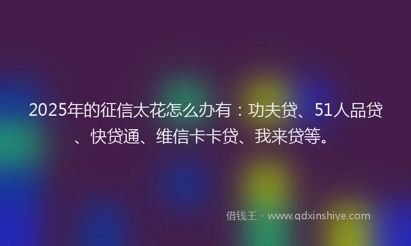 2025年的征信太花怎么办有：功夫贷、51人品贷、快贷通、维信卡卡贷、我来贷等。