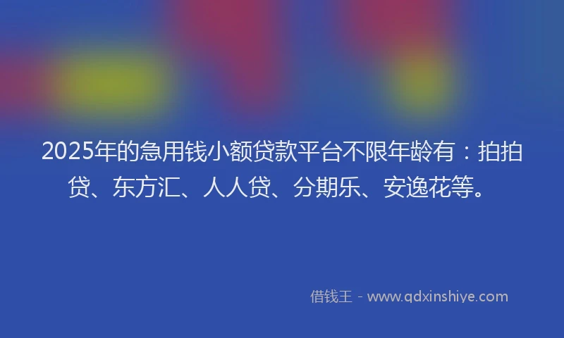 2025年的急用钱小额贷款平台不限年龄有：拍拍贷、东方汇、人人贷、分期乐、安逸花等。