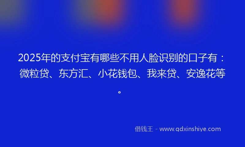 2025年的支付宝有哪些不用人脸识别的口子有：微粒贷、东方汇、小花钱包、我来贷、安逸花等。