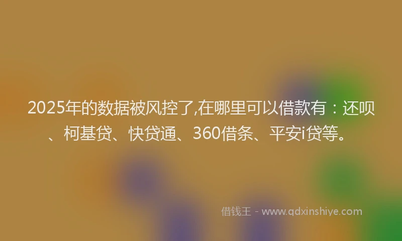2025年的数据被风控了,在哪里可以借款有：还呗、柯基贷、快贷通、360借条、平安i贷等。
