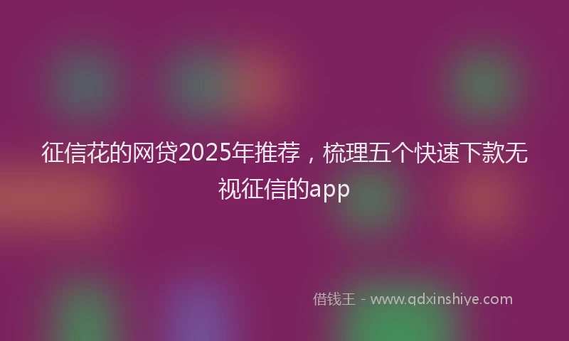 征信花的网贷2025年推荐，梳理五个快速下款无视征信的app