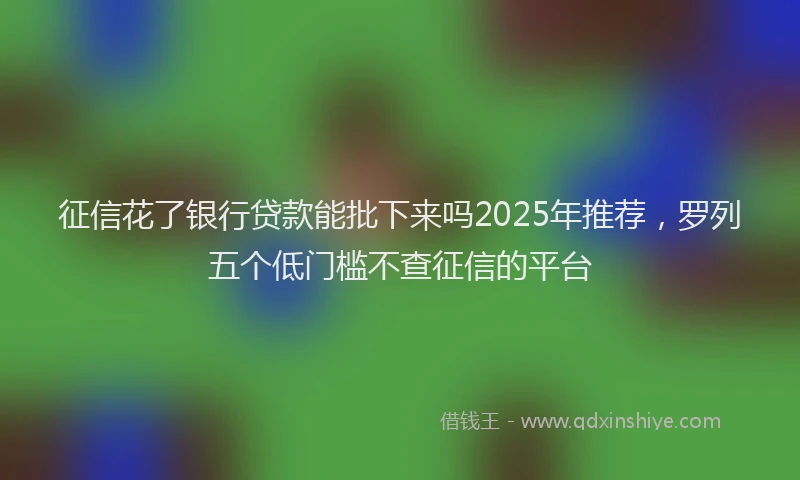 征信花了银行贷款能批下来吗2025年推荐，罗列五个低门槛不查征信的平台