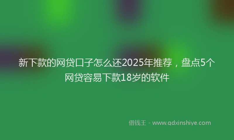 新下款的网贷口子怎么还2025年推荐，盘点5个网贷容易下款18岁的软件