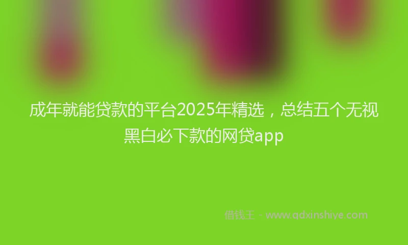 成年就能贷款的平台2025年精选，总结五个无视黑白必下款的网贷app
