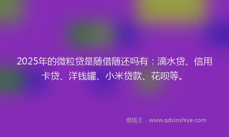 2025年的微粒贷是随借随还吗有：滴水贷、信用卡贷、洋钱罐、小米贷款、花呗等。