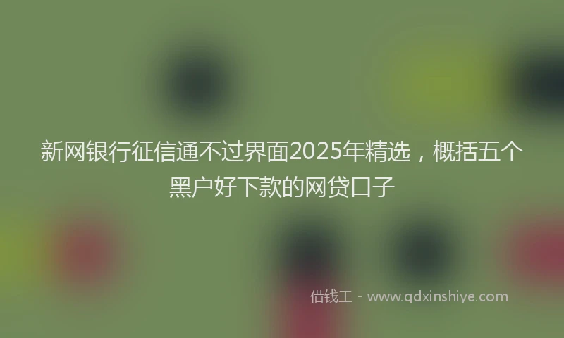 新网银行征信通不过界面2025年精选，概括五个黑户好下款的网贷口子