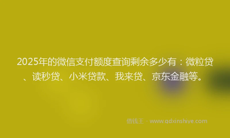 2025年的微信支付额度查询剩余多少有：微粒贷、读秒贷、小米贷款、我来贷、京东金融等。