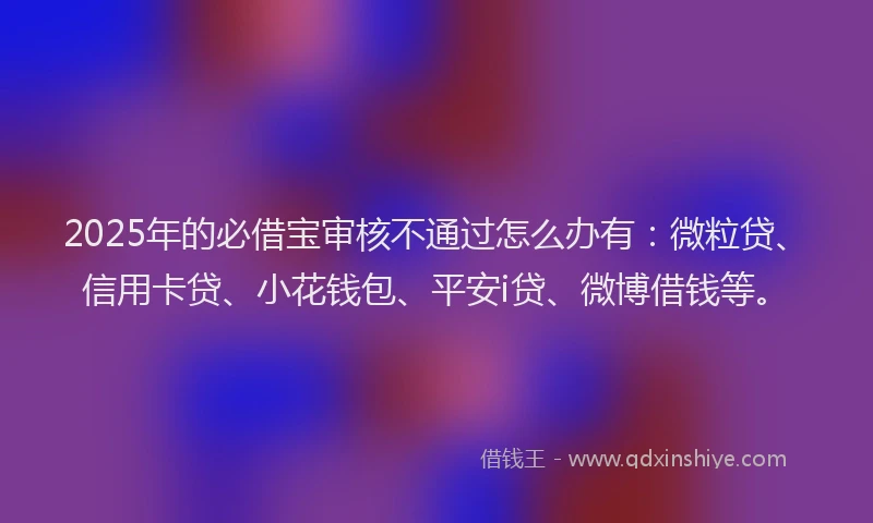 2025年的必借宝审核不通过怎么办有：微粒贷、信用卡贷、小花钱包、平安i贷、微博借钱等。