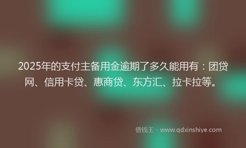 2025年的支付主备用金逾期了多久能用有：团贷网、信用卡贷、惠商贷、东方汇、拉卡拉等。