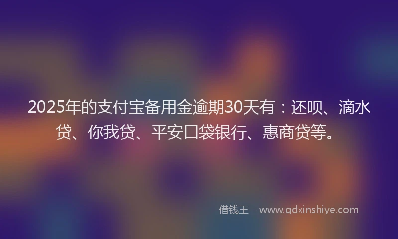 2025年的支付宝备用金逾期30天有：还呗、滴水贷、你我贷、平安口袋银行、惠商贷等。
