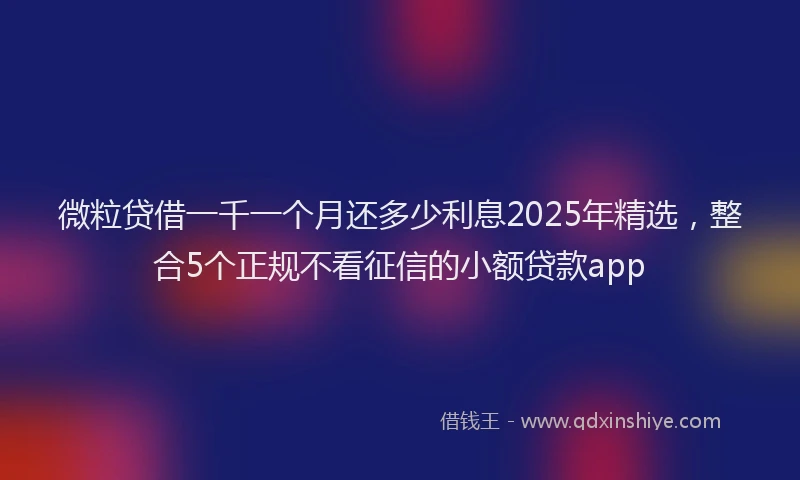 微粒贷借一千一个月还多少利息2025年精选，整合5个正规不看征信的小额贷款app
