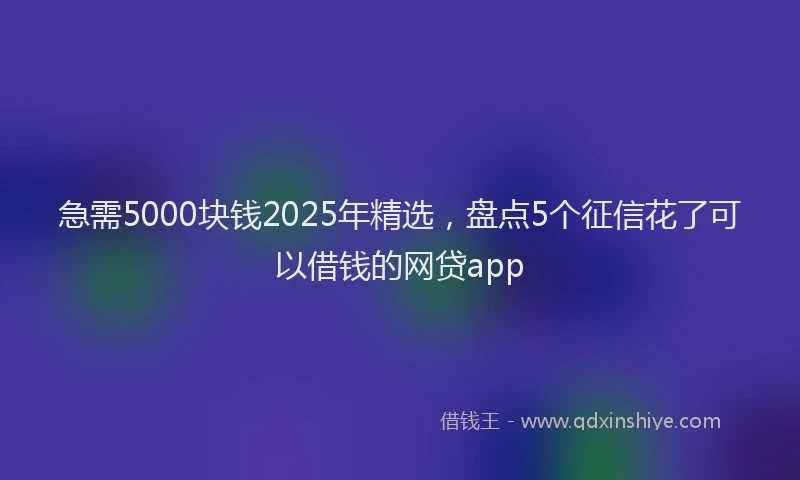 急需5000块钱2025年精选，盘点5个征信花了可以借钱的网贷app