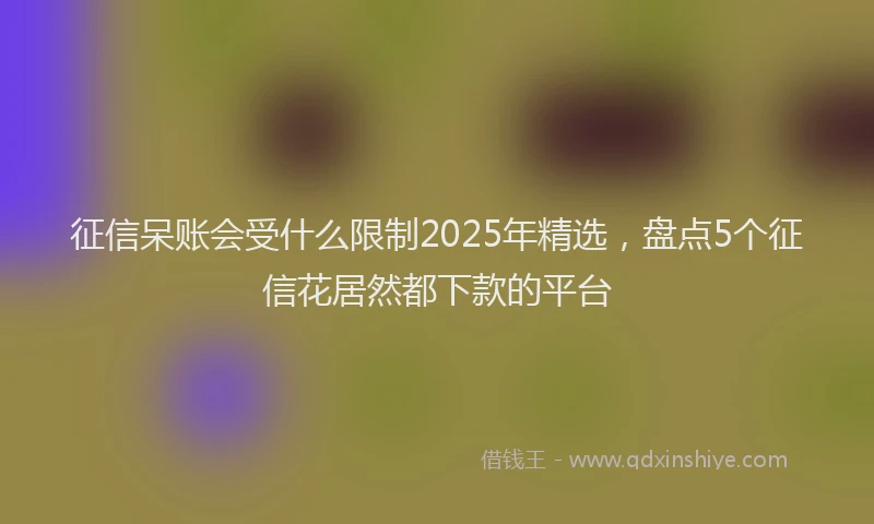征信呆账会受什么限制2025年精选，盘点5个征信花居然都下款的平台