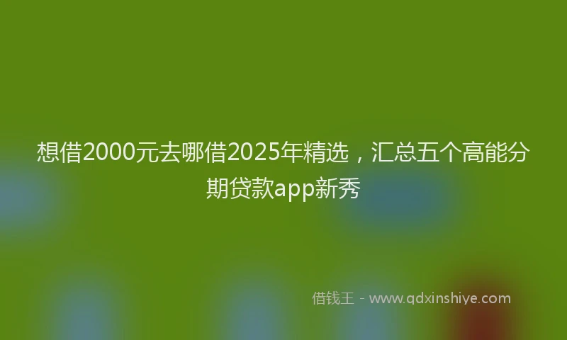 想借2000元去哪借2025年精选，汇总五个高能分期贷款app新秀
