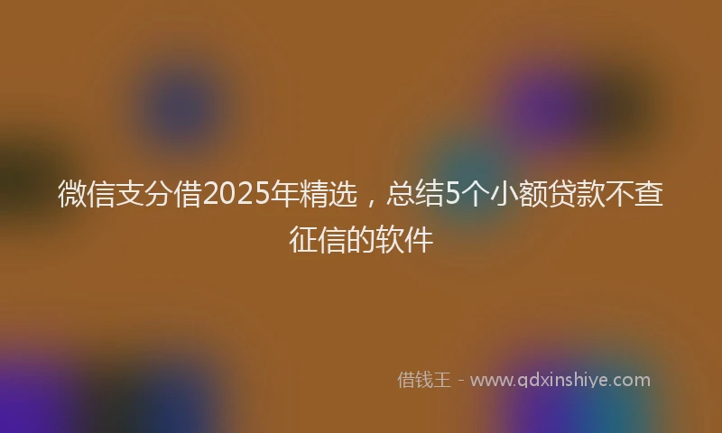 微信支分借2025年精选，总结5个小额贷款不查征信的软件
