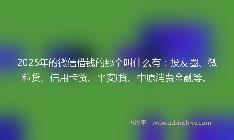 2025年的微信借钱的那个叫什么有：投友圈、微粒贷、信用卡贷、平安i贷、中原消费金融等。