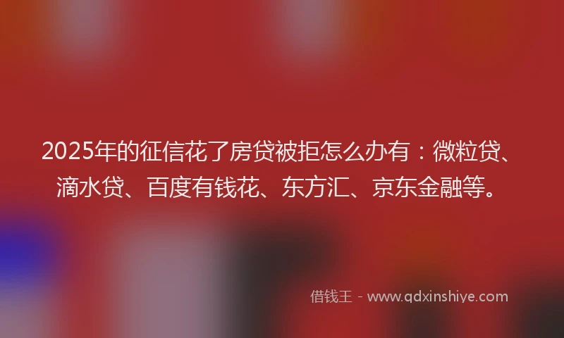 2025年的征信花了房贷被拒怎么办有：微粒贷、滴水贷、百度有钱花、东方汇、京东金融等。