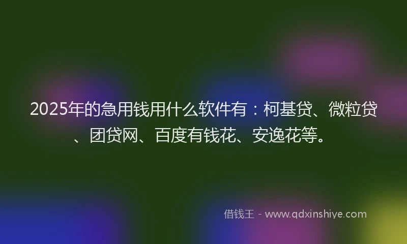 2025年的急用钱用什么软件有：柯基贷、微粒贷、团贷网、百度有钱花、安逸花等。