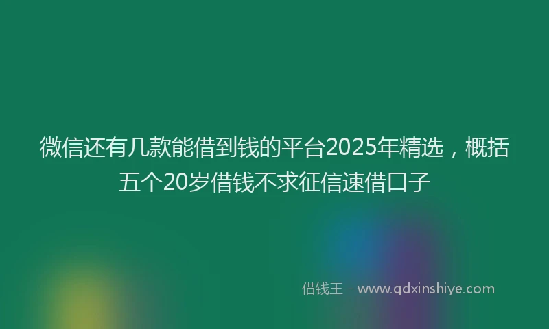 微信还有几款能借到钱的平台2025年精选，概括五个20岁借钱不求征信速借口子