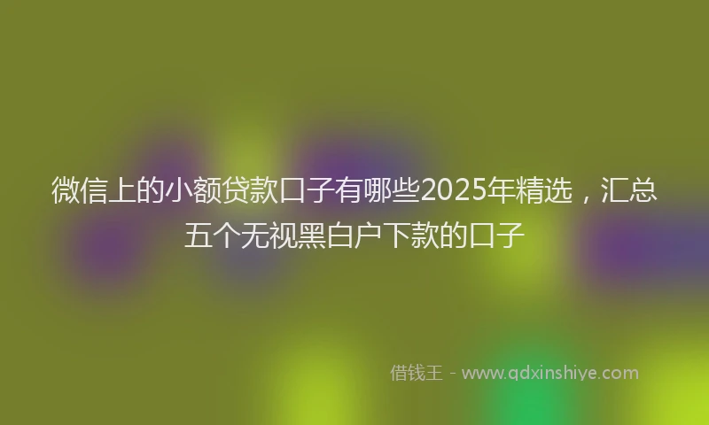 微信上的小额贷款口子有哪些2025年精选，汇总五个无视黑白户下款的口子