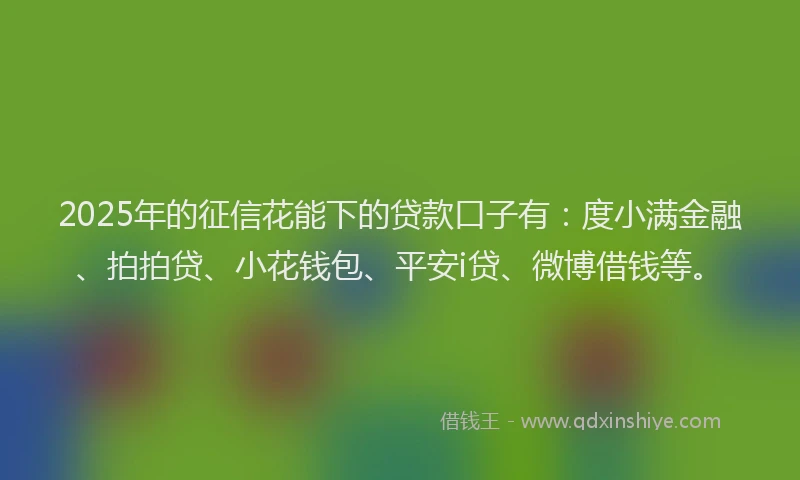 2025年的征信花能下的贷款口子有：度小满金融、拍拍贷、小花钱包、平安i贷、微博借钱等。