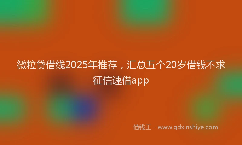微粒贷借线2025年推荐，汇总五个20岁借钱不求征信速借app