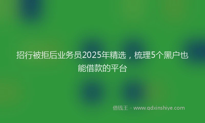 招行被拒后业务员2025年精选，梳理5个黑户也能借款的平台
